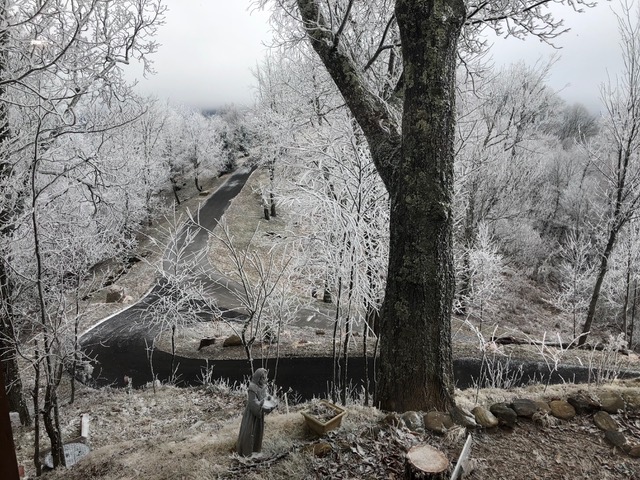 Winter in Brook Hollow